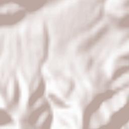 Comuna Şinca Nouă Terrain Map