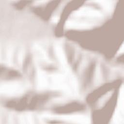 Tunelu-Teliu Terrain Map