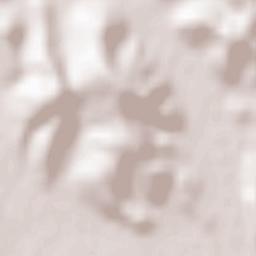 Floroaia Terrain Map