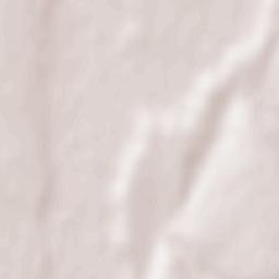 Comuna Costache Negri Terrain Map