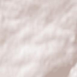 Springhill Terrain Map