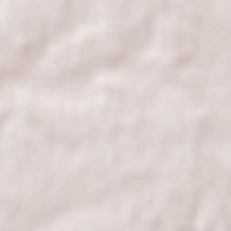 Saint-Sulpice-de-Royan Terrain Map