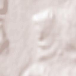 Brignais Terrain Map