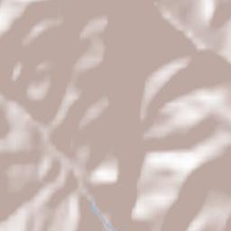 Campiglia Cervo Terrain Map