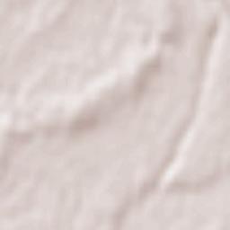 Campofiorenzo-California Terrain Map