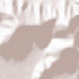 Chiuduno Terrain Map