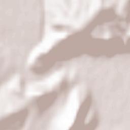 Tălmaciu Terrain Map