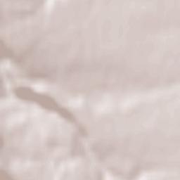 Coteşti Terrain Map