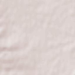 Savigneux Terrain Map