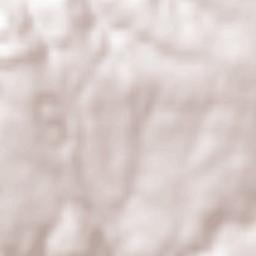 Chazelles-sur-Lyon Terrain Map