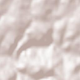 Saint-Symphorien-sur-Coise Terrain Map