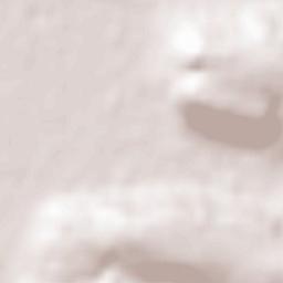 Saint-Savin Terrain Map