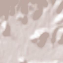 Monticelli Brusati Terrain Map