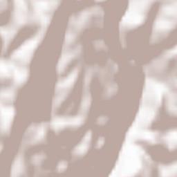 Bosco Chiesanuova Terrain Map