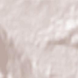 Kočevje Terrain Map