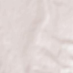 Oraş Buziaş Terrain Map