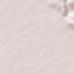 Gavojdia Terrain Map