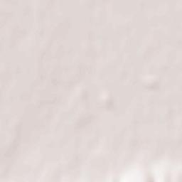 Municipiul Sãcele Terrain Map