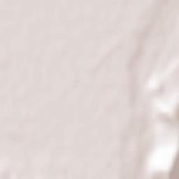 Tărlungeni Terrain Map