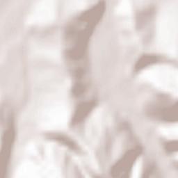 Purcăreni Terrain Map