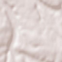 Vœuil-et-Giget Terrain Map