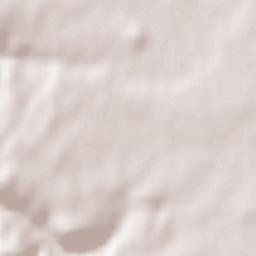 Montbrison Terrain Map