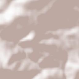 Saint-Didier-sous-Riverie Terrain Map