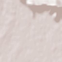 Passirano Terrain Map