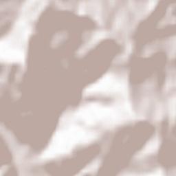 San Pietro Mussolino Terrain Map