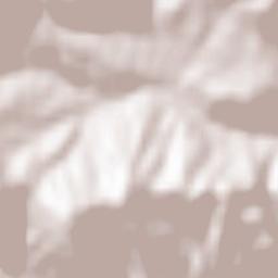 Răchitova Terrain Map