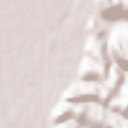 Oraş Râşnov Terrain Map