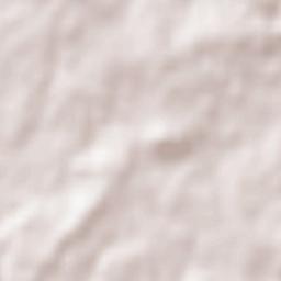 Ladignac-le-Long Terrain Map