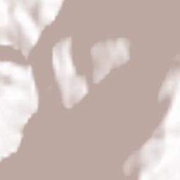 Rhemes-Notre-Dame Terrain Map