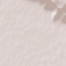 Coccaglio Terrain Map