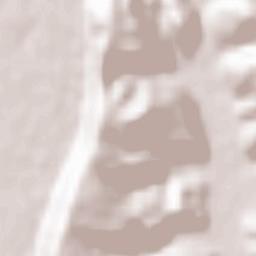 Castelgomberto Terrain Map