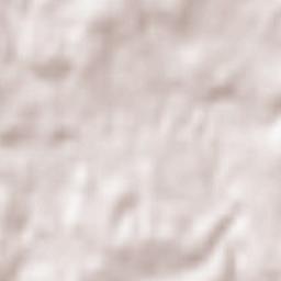 Črnomelj Terrain Map