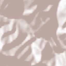 Comuna Boiţa Terrain Map