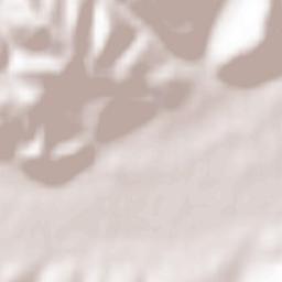 Zărnești Terrain Map