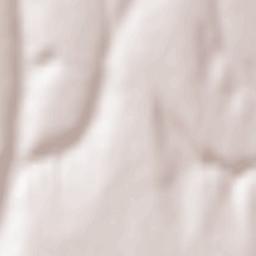 Tuluceşti Terrain Map