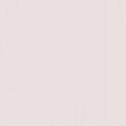 Saint-Damase Terrain Map