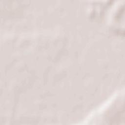 Feričanci Terrain Map