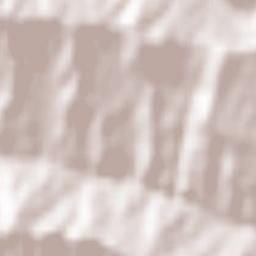 Chiojdeni Terrain Map