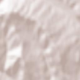 Dumitrești Terrain Map