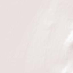 Mont-Royal Terrain Map