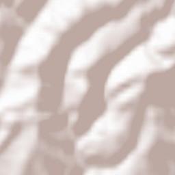 Sorbiers Terrain Map