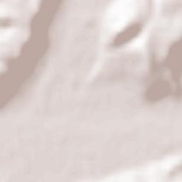 Beauvoir-de-Marc Terrain Map