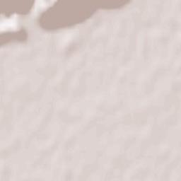 Molinetto Terrain Map