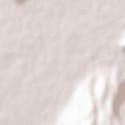 Altavilla Vicentina Terrain Map