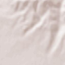 Repušnica Terrain Map