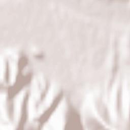 Comuna Marga Terrain Map